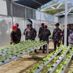 Perkuat Ketahanan Pangan, TNI AL Bersama DPKP Kalsel Kembangkan Pertanian Terpadu