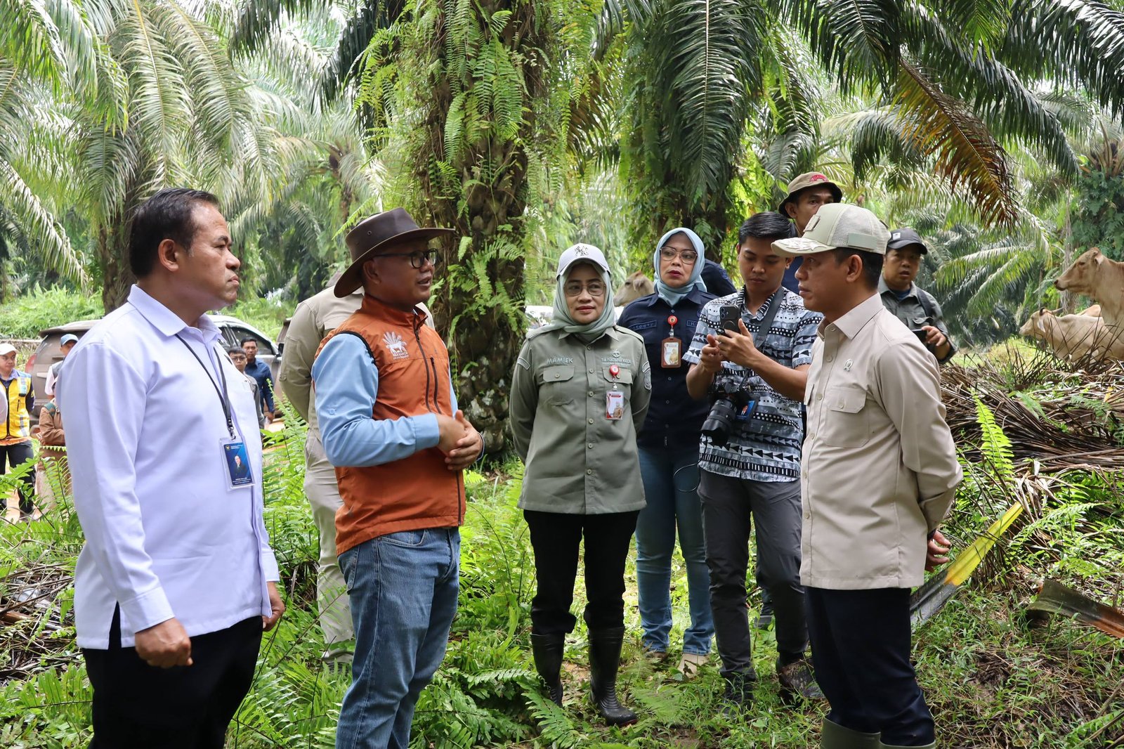 Wamenko Pangan Tinjau SISKA di Tanah Bumbu, Integrasi Sawit-Sapi Dinilai Mampu Kurangi Impor Daging