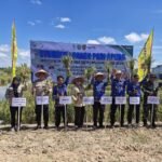 Panen Padi Apung di Tapin, Produktivitas Capai 6,5 Ton per Hektare