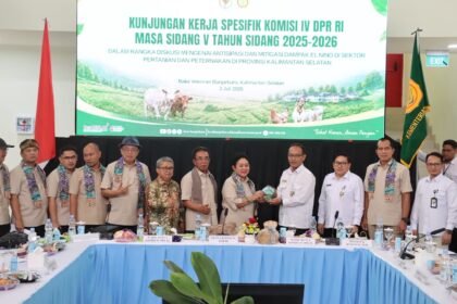 Komisi IV DPR RI Tekankan Langkah Mitigasi Antisipasi El Nino, Kalsel Perkuat Ketahanan Pertanian dan Peternakan