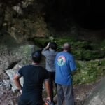 Monitoring Goa Batu Hapu Temukan Tiga Spesies Kelelawar, Geopark Meratus Perkuat Konservasi Berbasis Riset