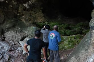 Monitoring Goa Batu Hapu Temukan Tiga Spesies Kelelawar, Geopark Meratus Perkuat Konservasi Berbasis Riset