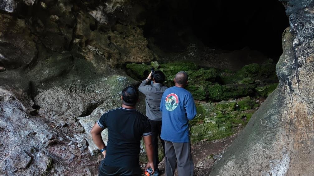 Monitoring Goa Batu Hapu Temukan Tiga Spesies Kelelawar, Geopark Meratus Perkuat Konservasi Berbasis Riset