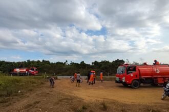 BPBD Kalsel Tangani Dua Titik Karhutla di Banjarbaru, Total Lahan Terbakar Capai 12,1 Hektare
