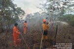 TRC BPBD Kalsel Tangani Tiga Titik Karhutla di Banjarbaru, Seluruh Api Berhasil Dikendalikan