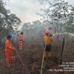 TRC BPBD Kalsel Tangani Tiga Titik Karhutla di Banjarbaru, Seluruh Api Berhasil Dikendalikan