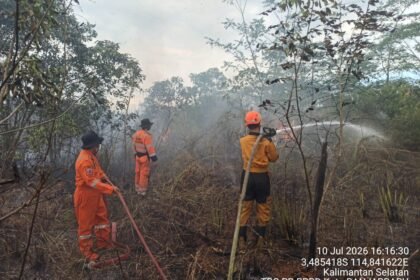 TRC BPBD Kalsel Tangani Tiga Titik Karhutla di Banjarbaru, Seluruh Api Berhasil Dikendalikan
