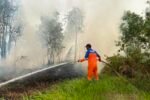 TRC BPBD Kalsel Berhasil Kendalikan Dua Titik Karhutla di Banjarbaru