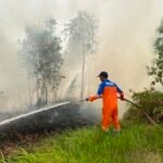 TRC BPBD Kalsel Berhasil Kendalikan Dua Titik Karhutla di Banjarbaru