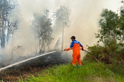 TRC BPBD Kalsel Berhasil Kendalikan Dua Titik Karhutla di Banjarbaru