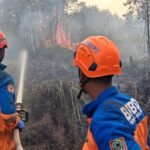 BPBD Kalsel Fokus Lindungi Permukiman Saat Padamkan Karhutla di Landasan Ulin Timur