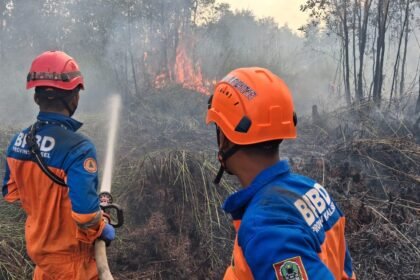 BPBD Kalsel Fokus Lindungi Permukiman Saat Padamkan Karhutla di Landasan Ulin Timur