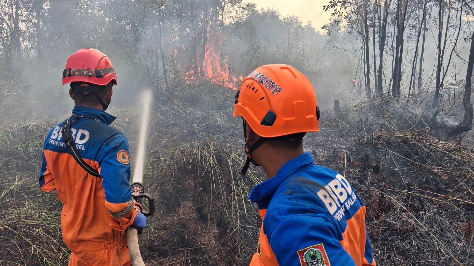 BPBD Kalsel Fokus Lindungi Permukiman Saat Padamkan Karhutla di Landasan Ulin Timur
