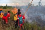 BPBD Kalsel Gerak Cepat Padamkan Karhutla Dekat Perkantoran Gubernur dan Permukiman di Cempaka