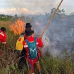 BPBD Kalsel Gerak Cepat Padamkan Karhutla Dekat Perkantoran Gubernur dan Permukiman di Cempaka