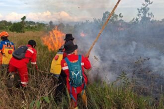 BPBD Kalsel Gerak Cepat Padamkan Karhutla Dekat Perkantoran Gubernur dan Permukiman di Cempaka
