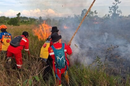 BPBD Kalsel Gerak Cepat Padamkan Karhutla Dekat Perkantoran Gubernur dan Permukiman di Cempaka