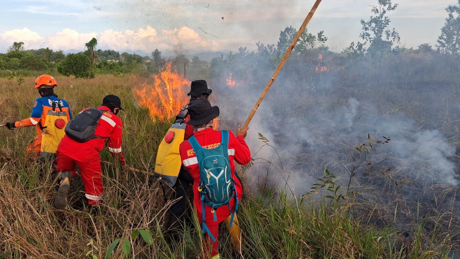 BPBD Kalsel Gerak Cepat Padamkan Karhutla Dekat Perkantoran Gubernur dan Permukiman di Cempaka