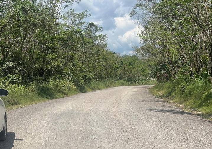 Pemprov Kalsel Matangkan Tahapan Jalan Lintas Tengah, Penlok Ditargetkan Terbit Oktober 2026