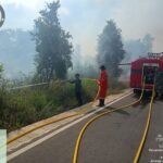 BPBD Kalsel Kerahkan Water Bombing Kendalikan Karhutla di Ujung Jalan Golf Banjarbaru, Sekitar 30 Hektare Terdampak