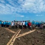 Dislautkan Kalsel Jaga Kelestarian Ekosistem Pasir dengan Rehabilitasi Mangrove di Takisung