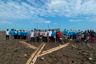 Dislautkan Kalsel Jaga Kelestarian Ekosistem Pasir dengan Rehabilitasi Mangrove di Takisung