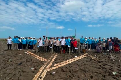 Dislautkan Kalsel Jaga Kelestarian Ekosistem Pasir dengan Rehabilitasi Mangrove di Takisung