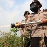Karhutla di Belakang Ponpes Darul Ilmi Berhasil Dipadamkan, Polda Kalsel Kerahkan 10 Personel