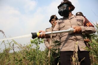 Karhutla di Belakang Ponpes Darul Ilmi Berhasil Dipadamkan, Polda Kalsel Kerahkan 10 Personel
