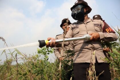 Karhutla di Belakang Ponpes Darul Ilmi Berhasil Dipadamkan, Polda Kalsel Kerahkan 10 Personel