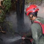 Karhutla Kabupaten Banjar Diperkirakan Lebih dari 5 Hektare, TRC BPBD Kalsel Lakukan Pemadaman