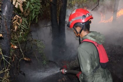 Karhutla Kabupaten Banjar Diperkirakan Lebih dari 5 Hektare, TRC BPBD Kalsel Lakukan Pemadaman