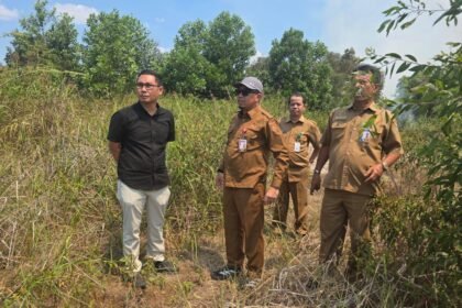 Cegah Karhutla, PUPR Kalsel Turunkan 53 Personel dan Perkuat Pembasahan Hutan Lindung