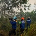 Presiden Prabowo Pimpin Penanganan Serentak Karhutla, Kalsel Siapkan Tim Gabungan