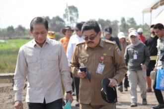Diskominfo Kalsel Optimalkan Peran Media untuk Perkuat Penanganan Karhutla