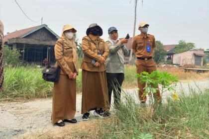 Tinjau KSPP di Gambut, Kalsel Dorong Peningkatan Produksi Padi dan Hortikultura