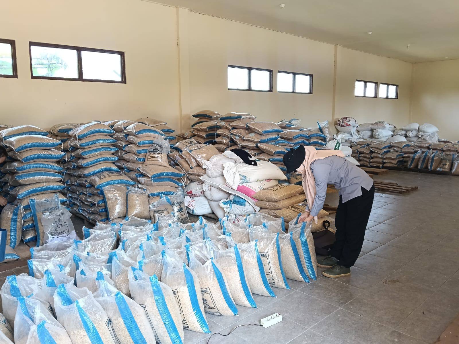 Kemarau Panjang, Balai Benih TPH Kalsel Tetap Jaga Ketersediaan Benih Petani